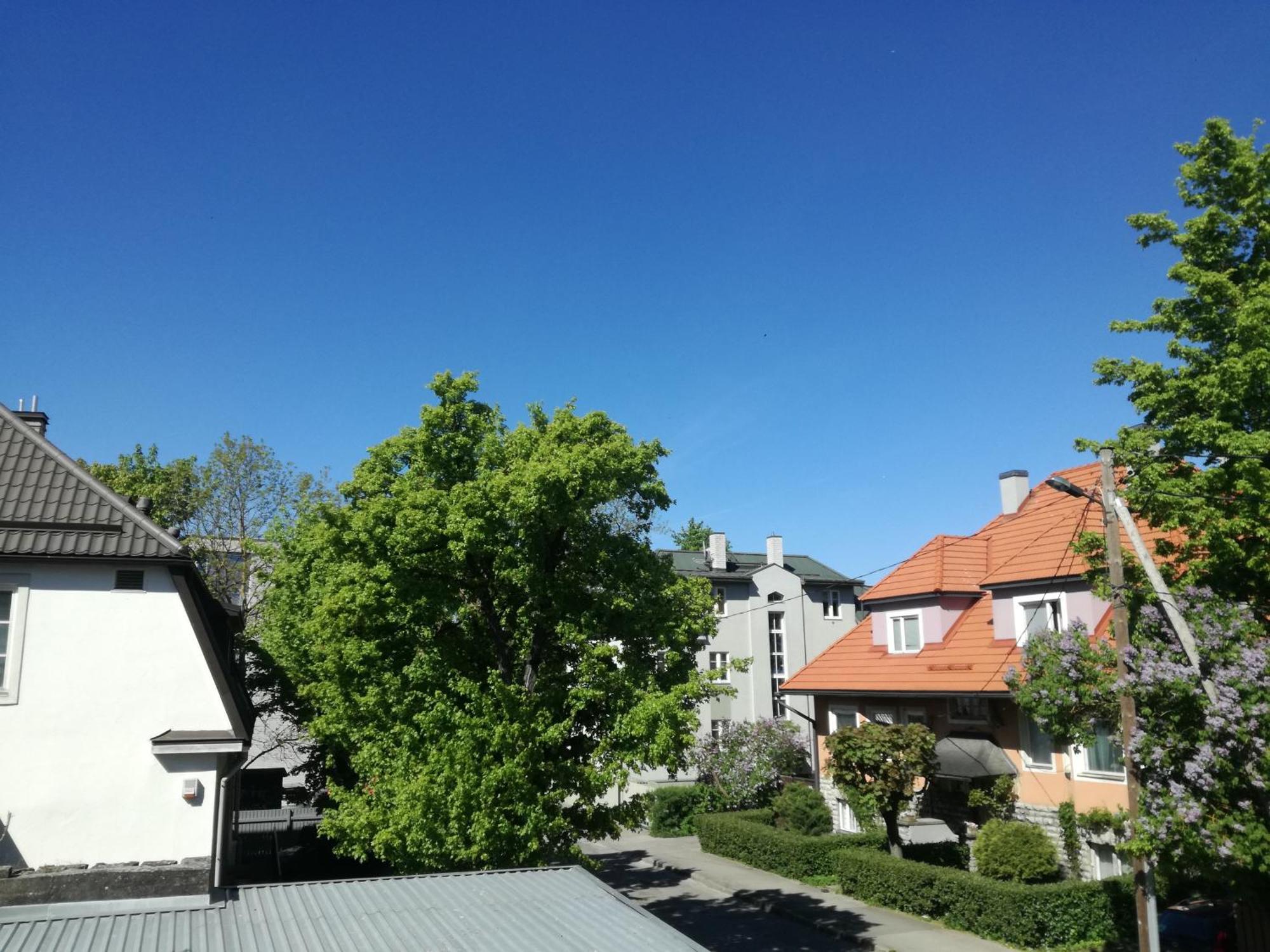 Wilken Apartments 2024 Tallinn Eksteriør billede